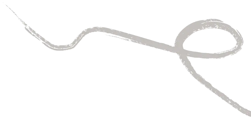 Decorative handwritten stroke illustration