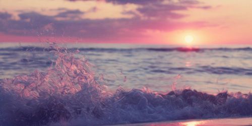 Paola Buccinotti banner